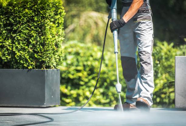 Best Gutter Cleaning  in Holtsville, NY