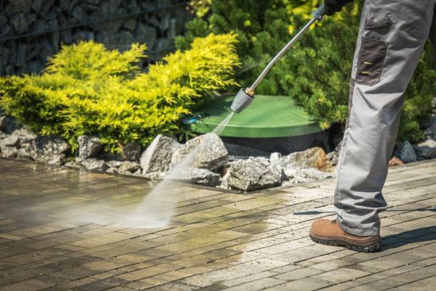 Best Winterizing Services  in Holtsville, NY
