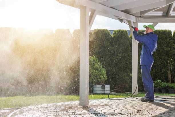 Best Animal Enclosure Cleaning  in Holtsville, NY